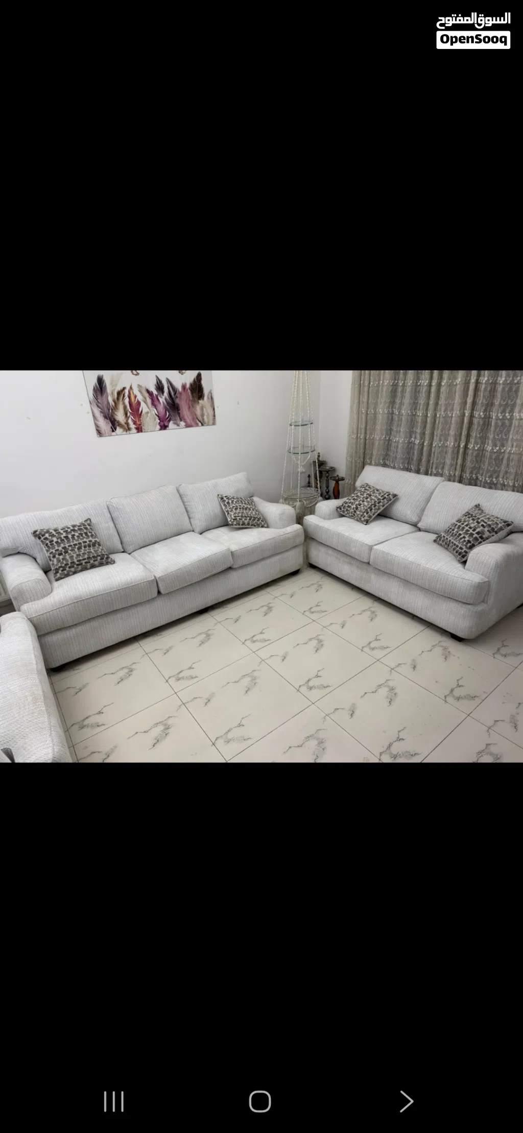 كنب امريكي اشلي