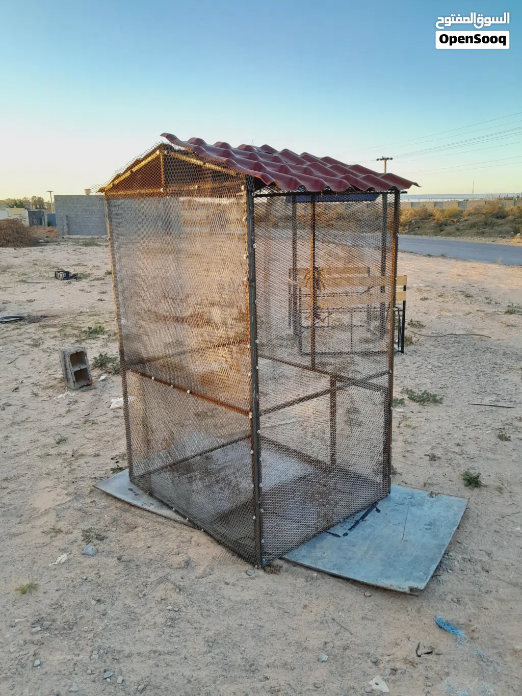 سزنة طيور حاجة منظمة