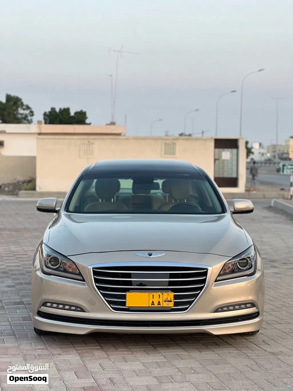 هيونداي اخرى