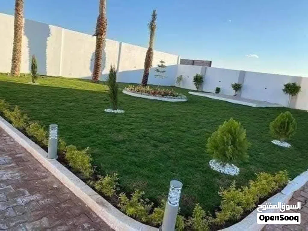 بسم الله الرحمن الرحيم حرق الأسعار علا النجيل m5الامريكي نخب اول سعر المتر 6د مزروع جاهز تواصل