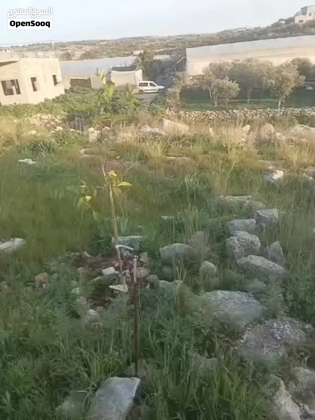 ارض تصلح للبناء السكني