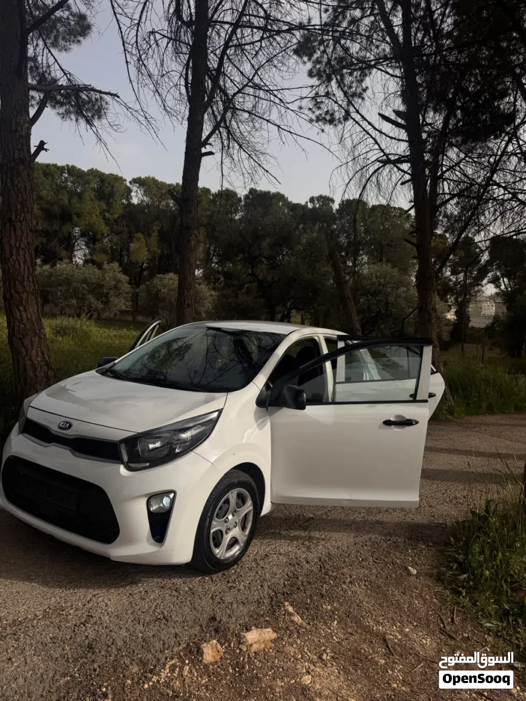 Kia Picanto Standard