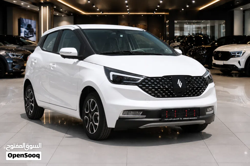 جاي ام اي في EV3