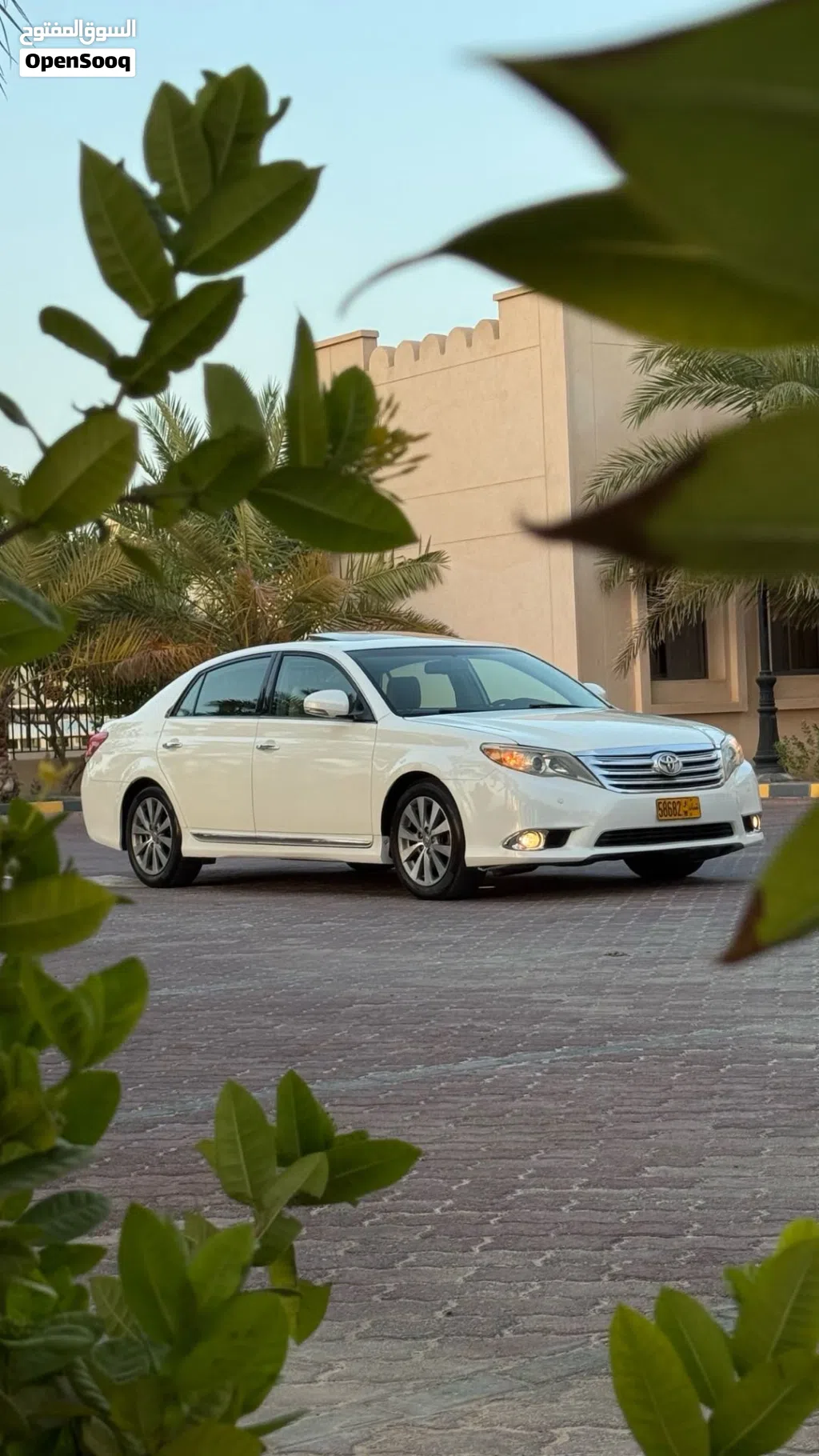Toyota Avalon XLE