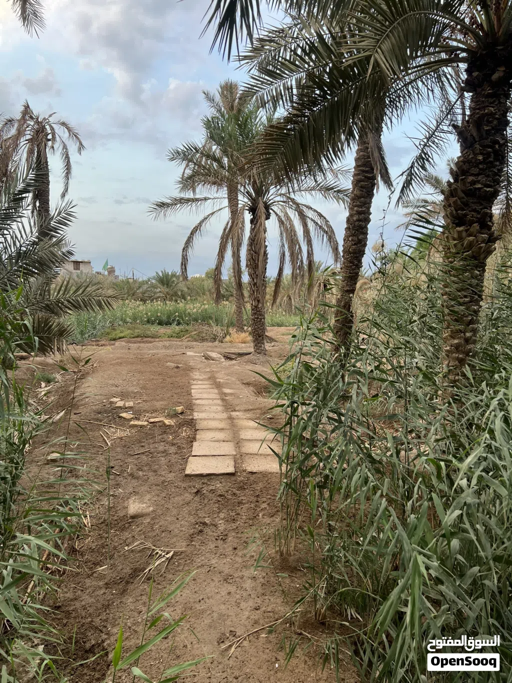 الدار للبيع مع بستان