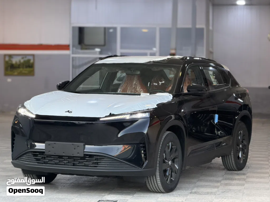 Dongfeng Mage EV