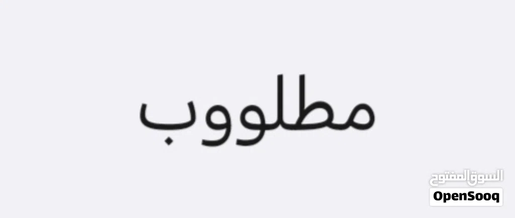 مطلوب ثعبان بول بايثون ب سعر رخيص