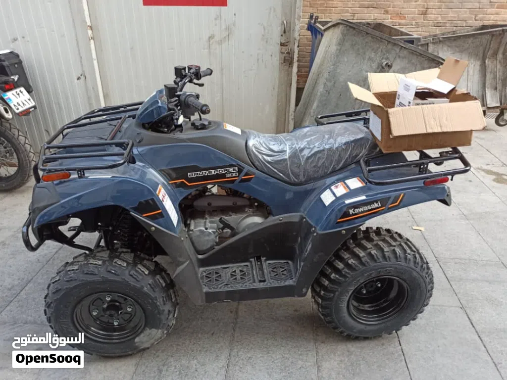 Kawasaki Brute Force 300