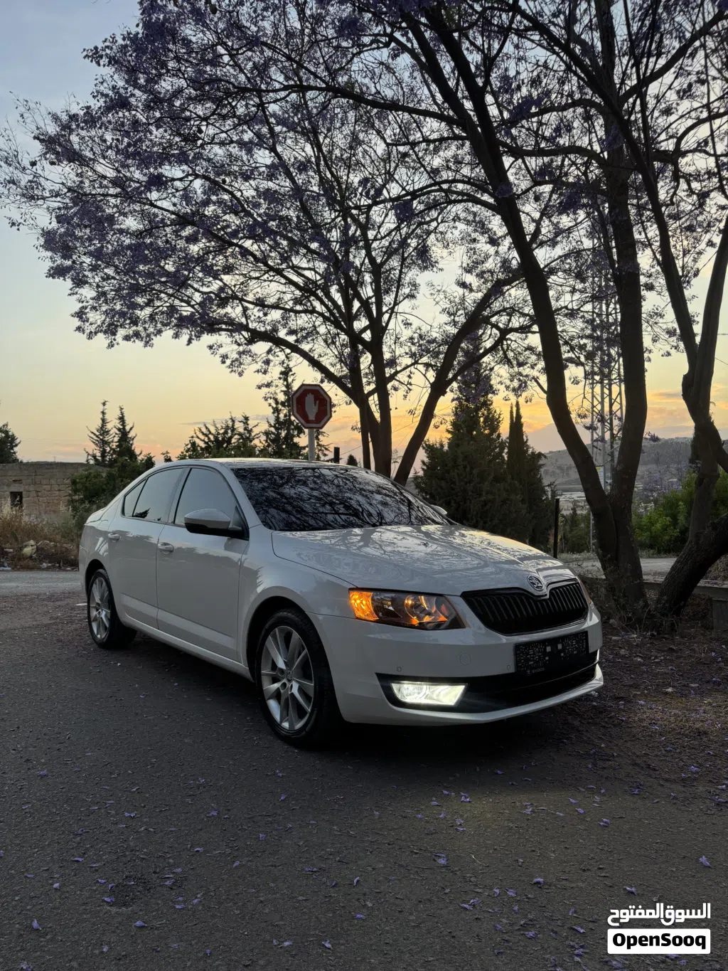 سكودا اوكتافيا Standard