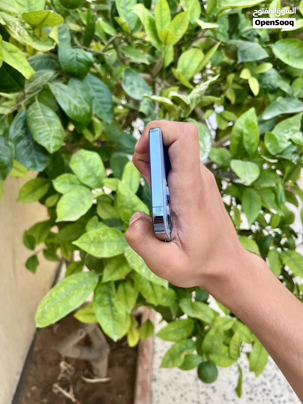 13 برو مكس مش مفتوح