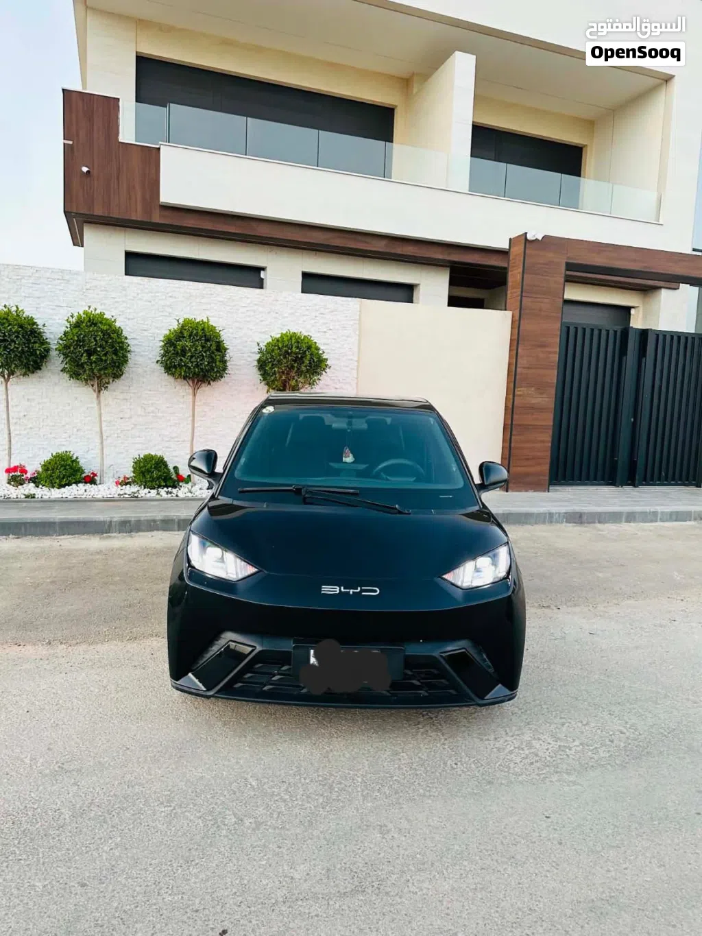بي واي دي سيجول