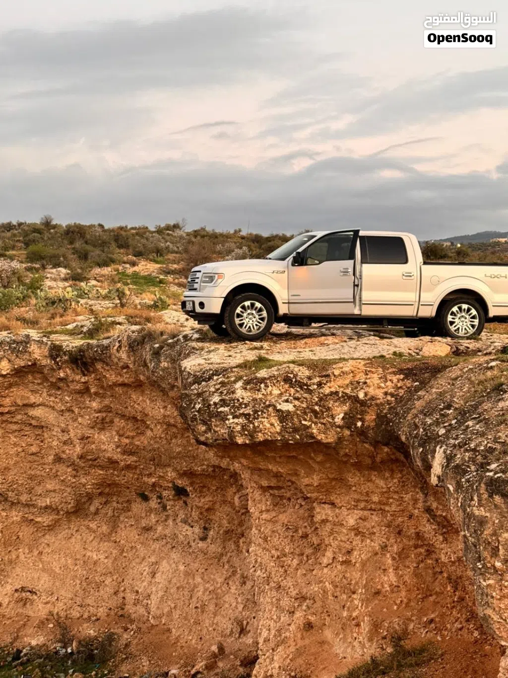 Ford F-150 Platinum