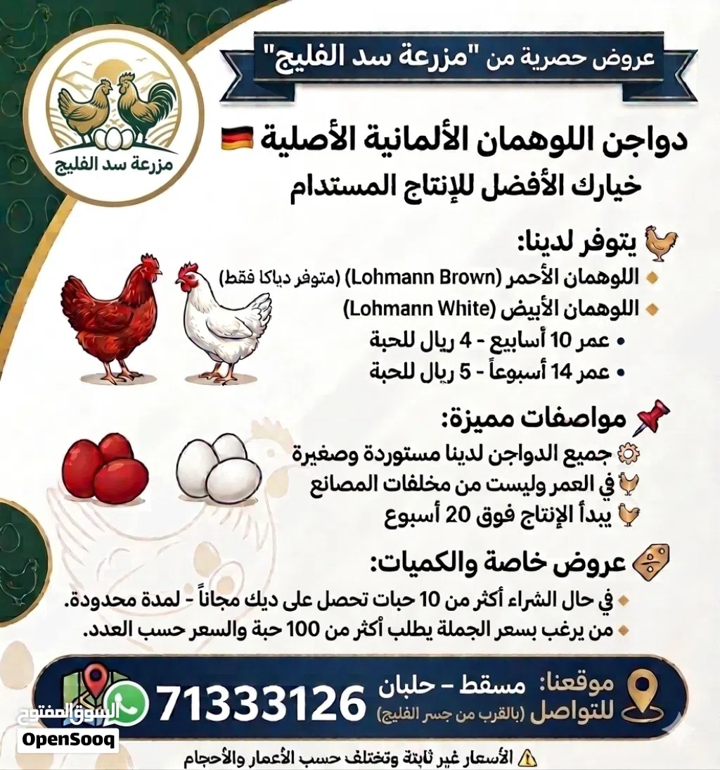 يتوفر دواجن و ديكا لوهمان اصلية مستورده