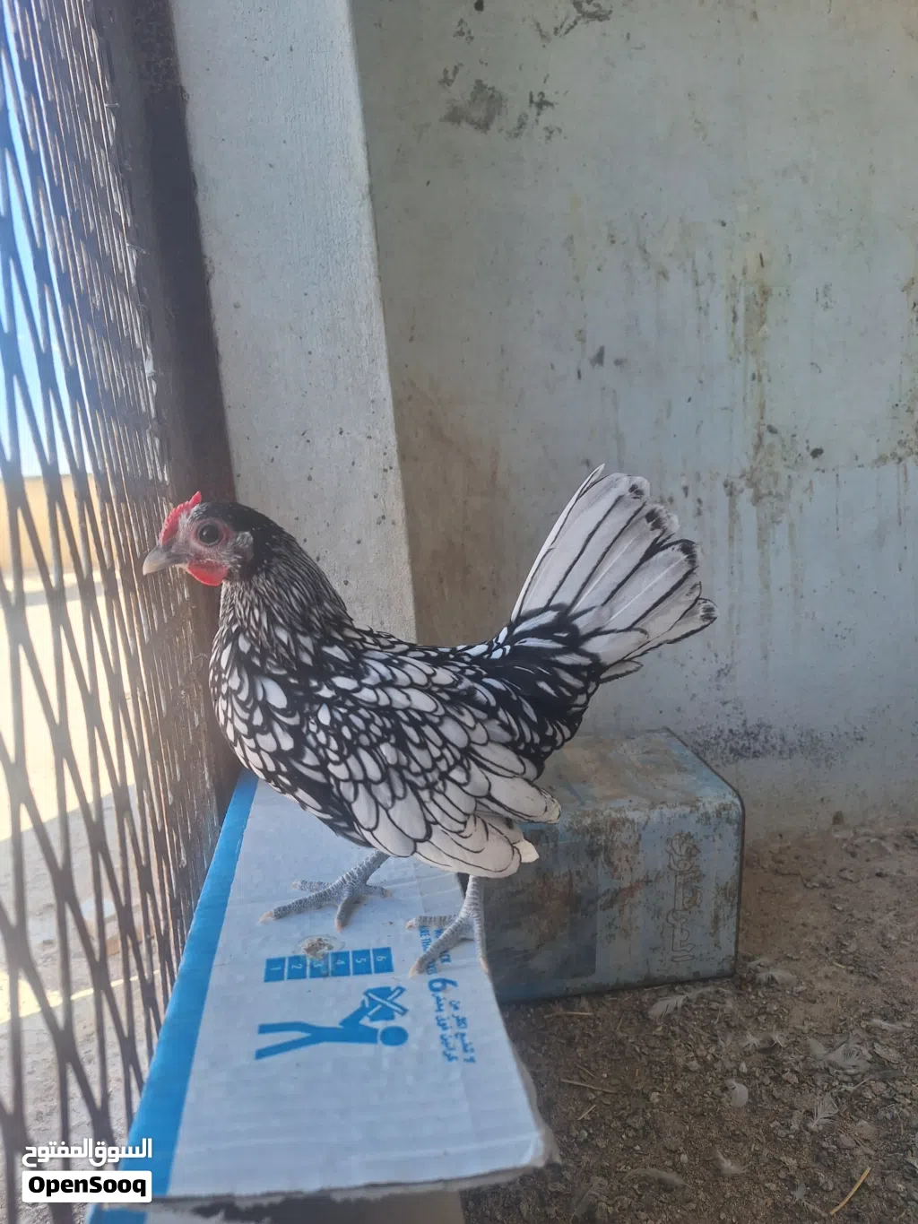 سبرايت للبيع