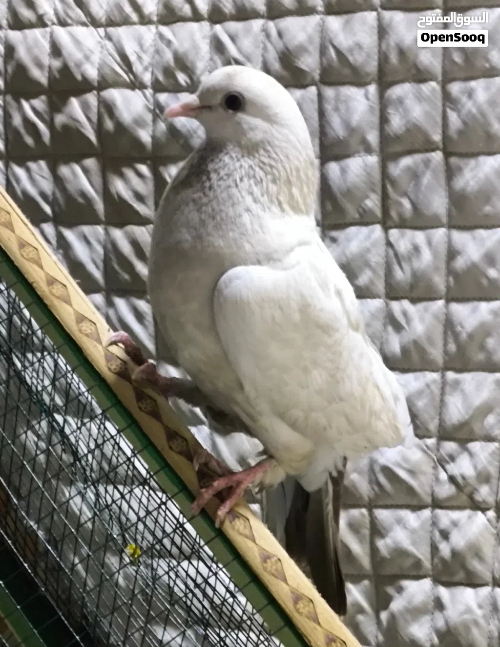 متاح 2 حمام