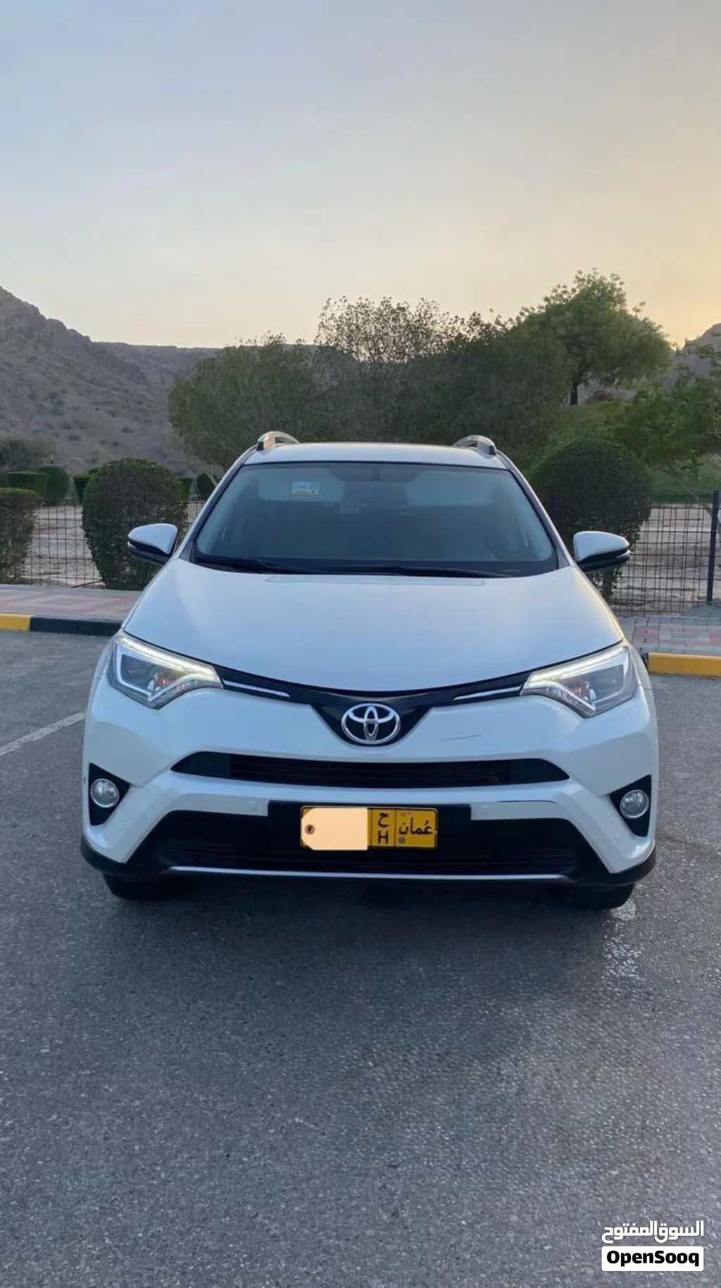 Toyota RAV 4 XLE