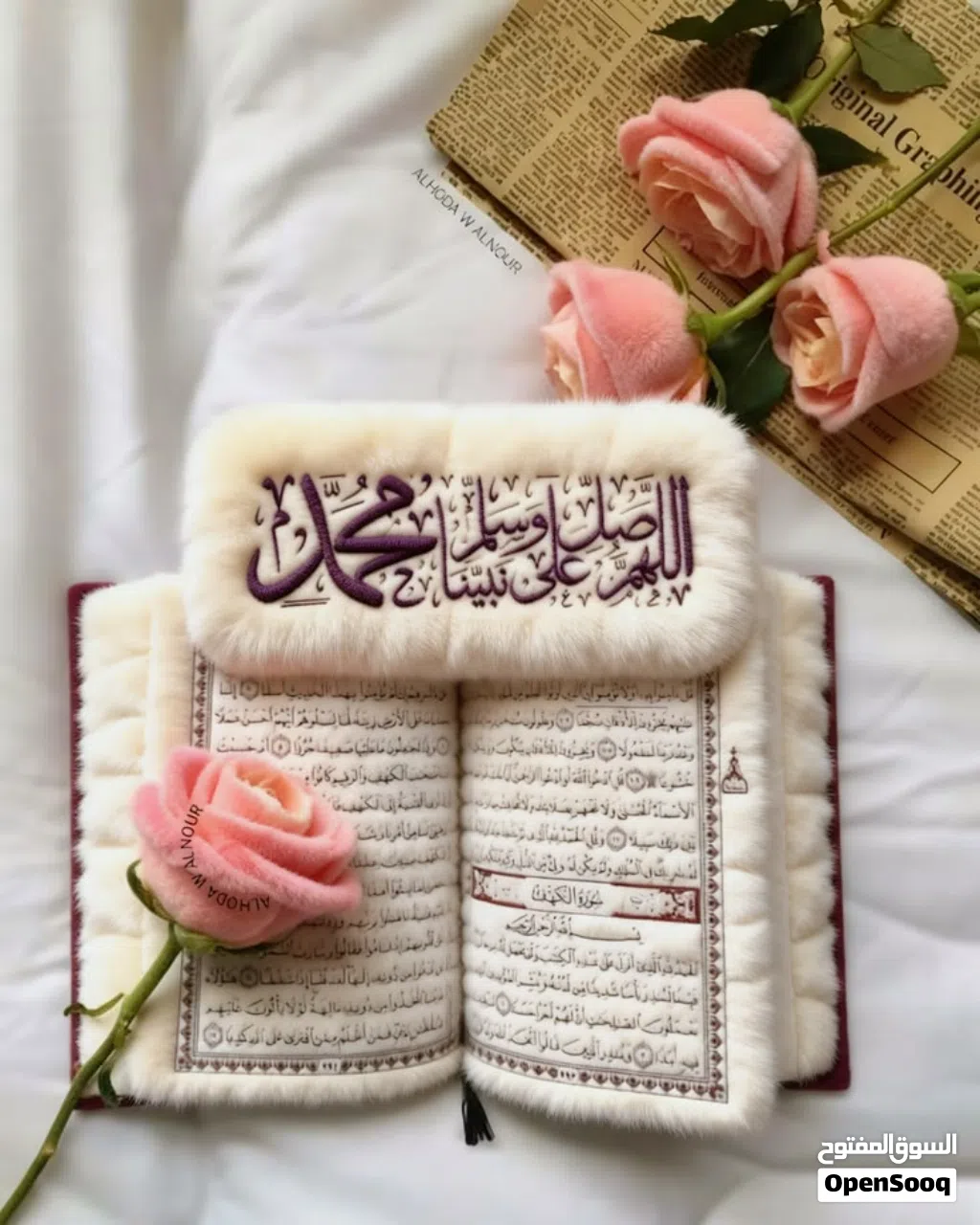مطلوب شخص او شخصين لشقة مجهزة بالكامل