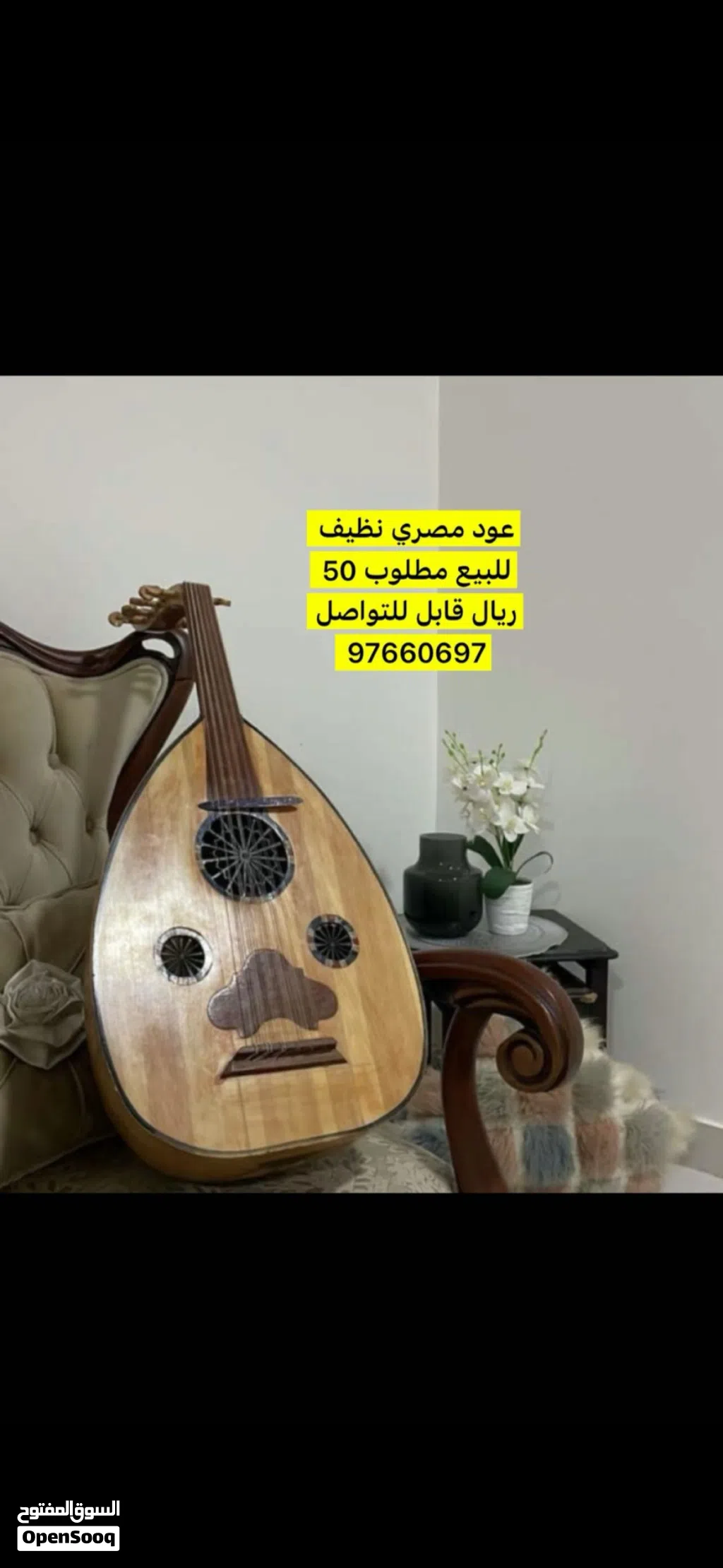 عود مصري نظيف