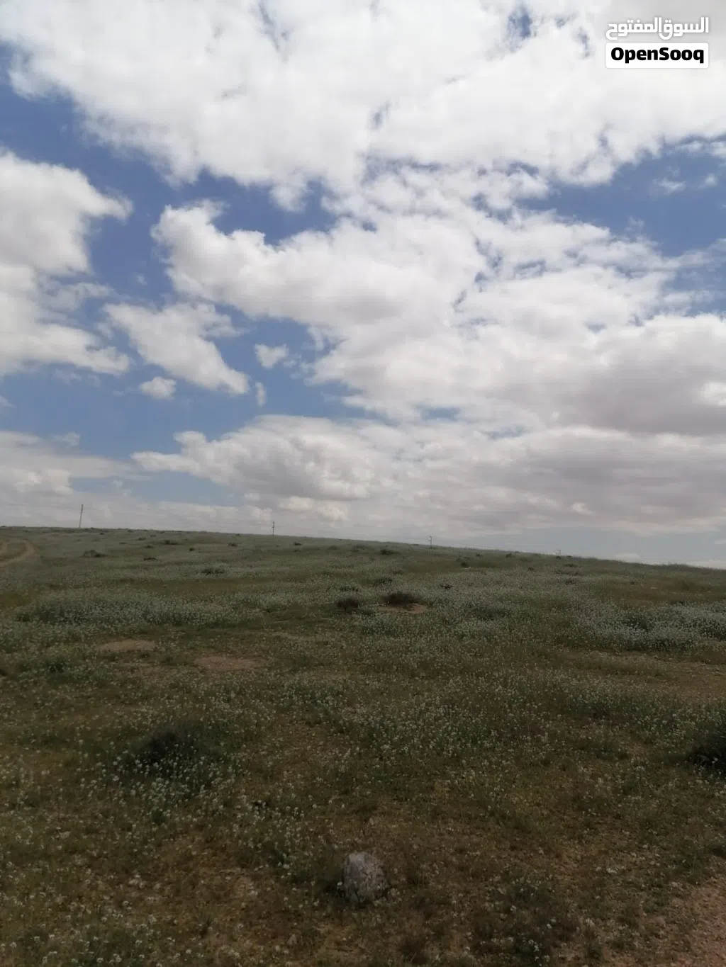 ارض للبيع صره الغدير الغربي