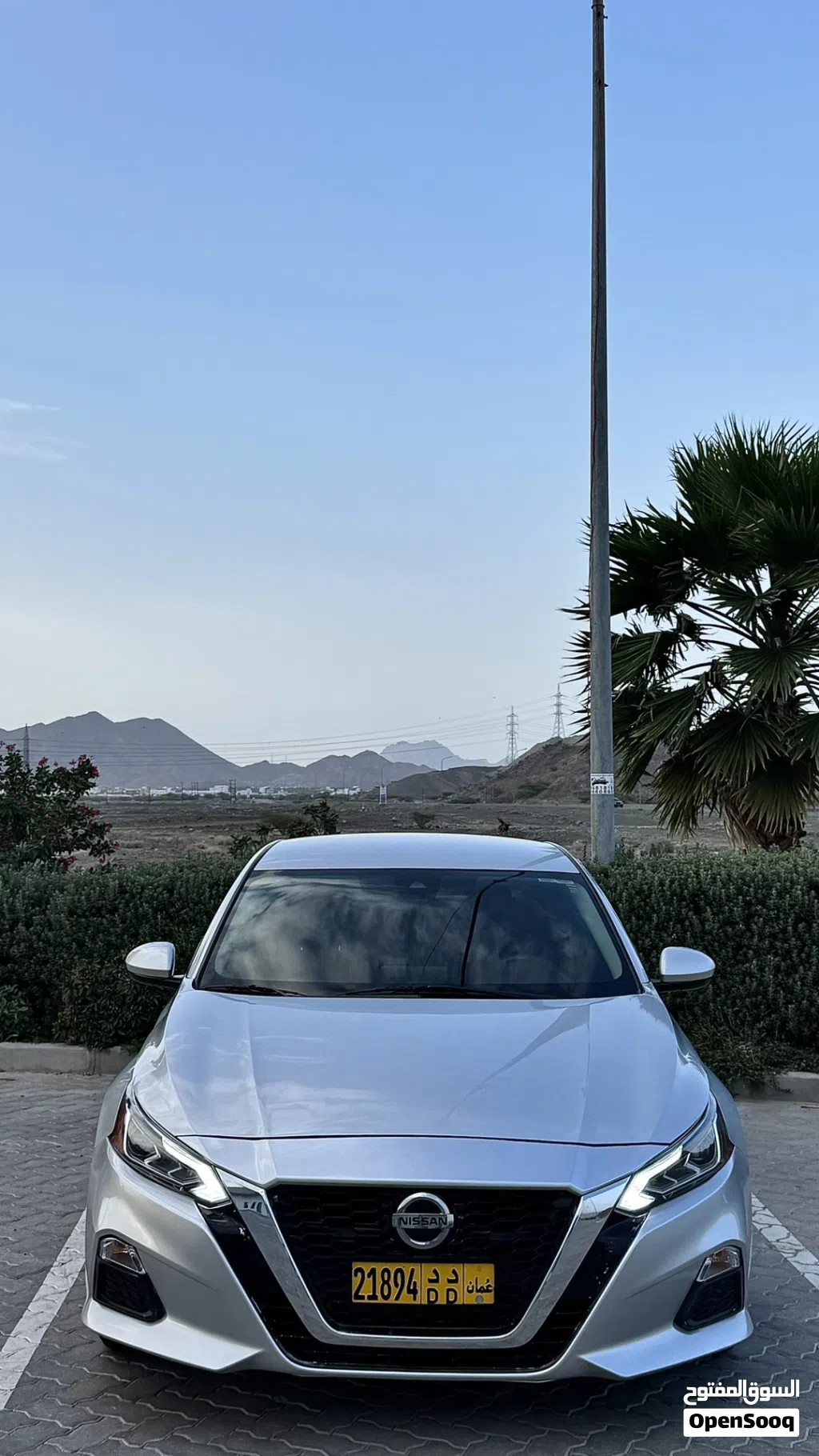 نيسان التيما SV