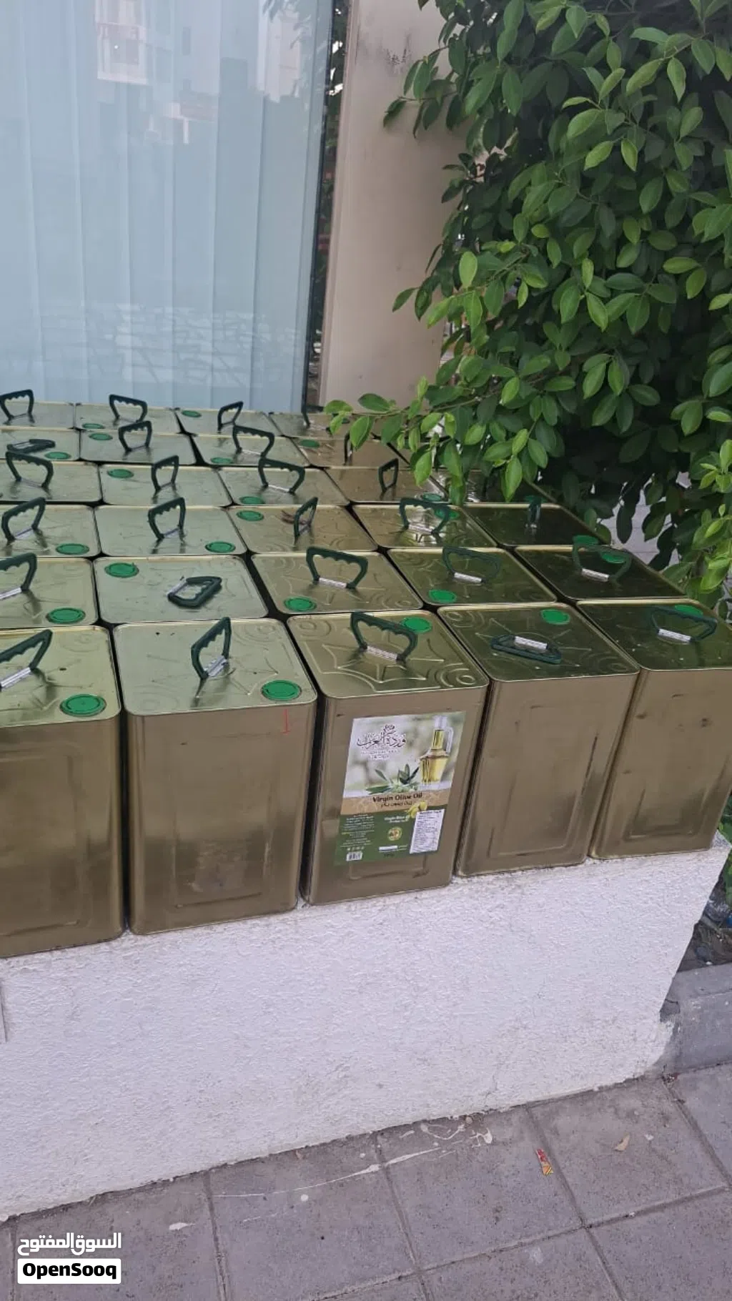 زيت زيتون جبلي بكر ممتاز عصرة أولى على البارد من جبال عفرين