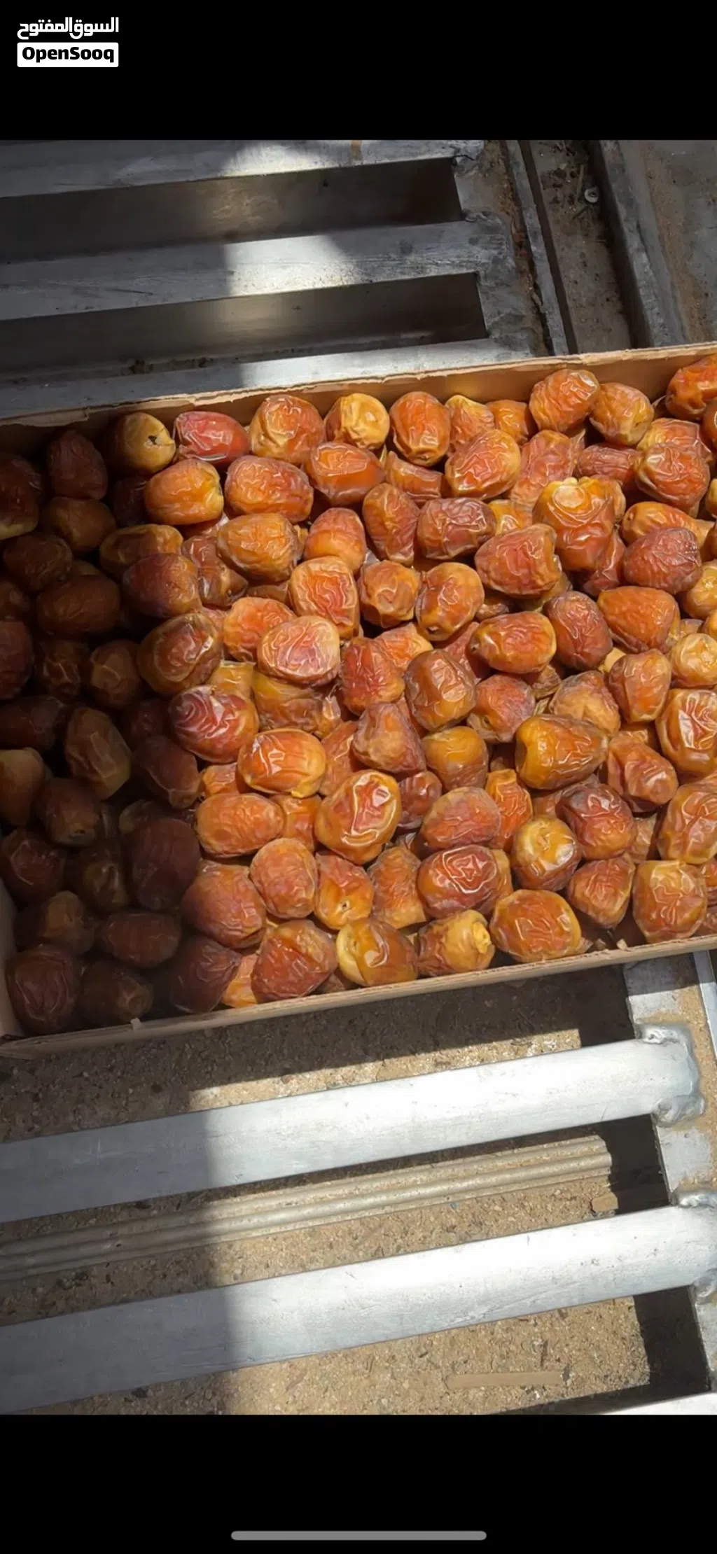 سكري جالكسي جملة