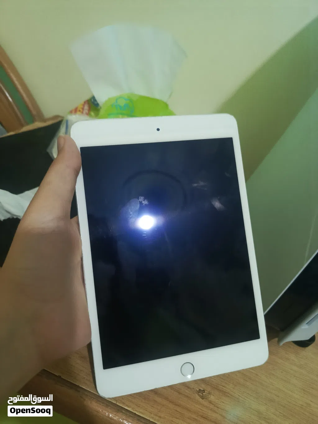 iPad mini 4