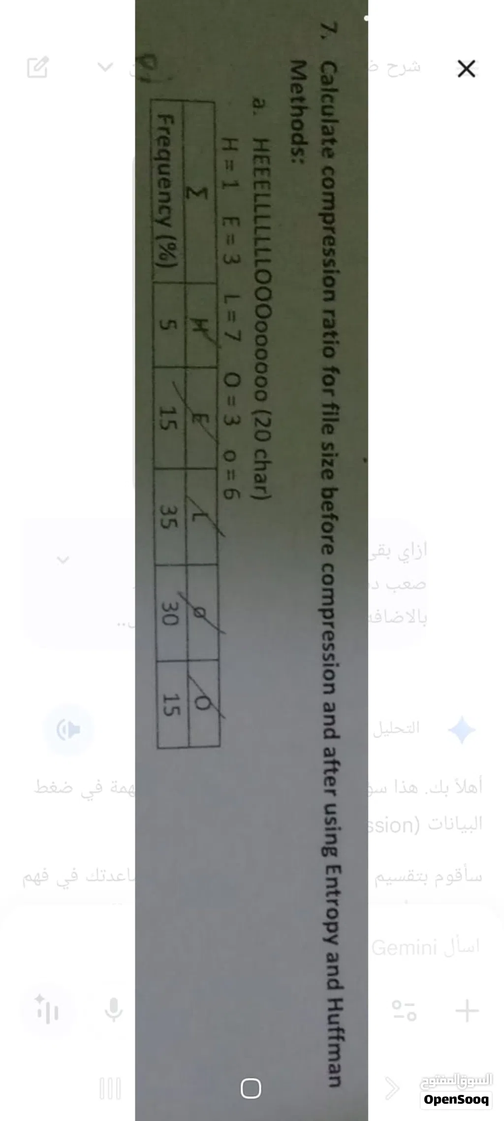 ةةتننتتتتت