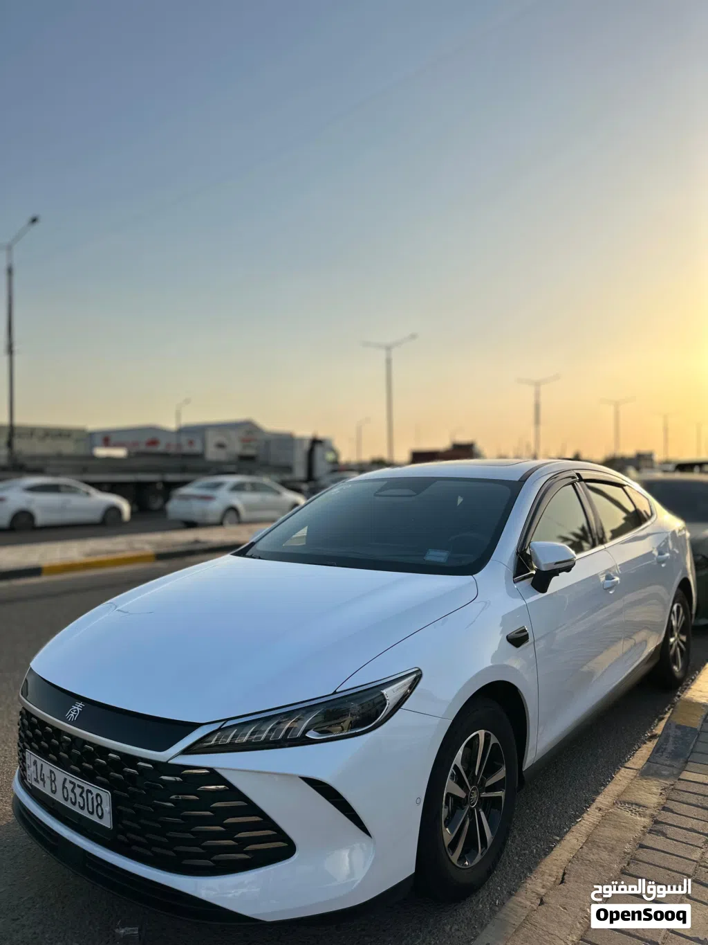 بیوایدی Qin