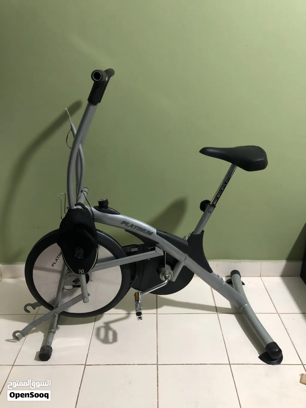 Platinum exercise bike adjustable