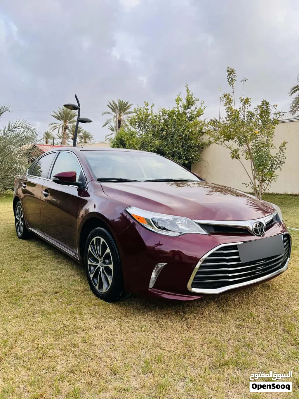 Toyota Avalon XLE