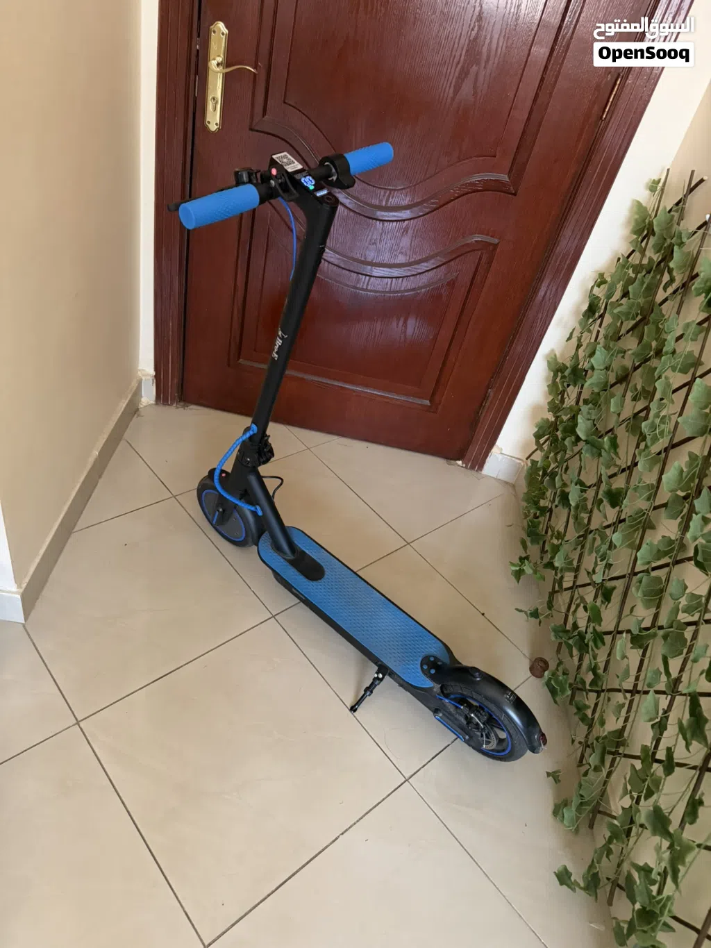 Electric scooter. سكوتر كهربائي