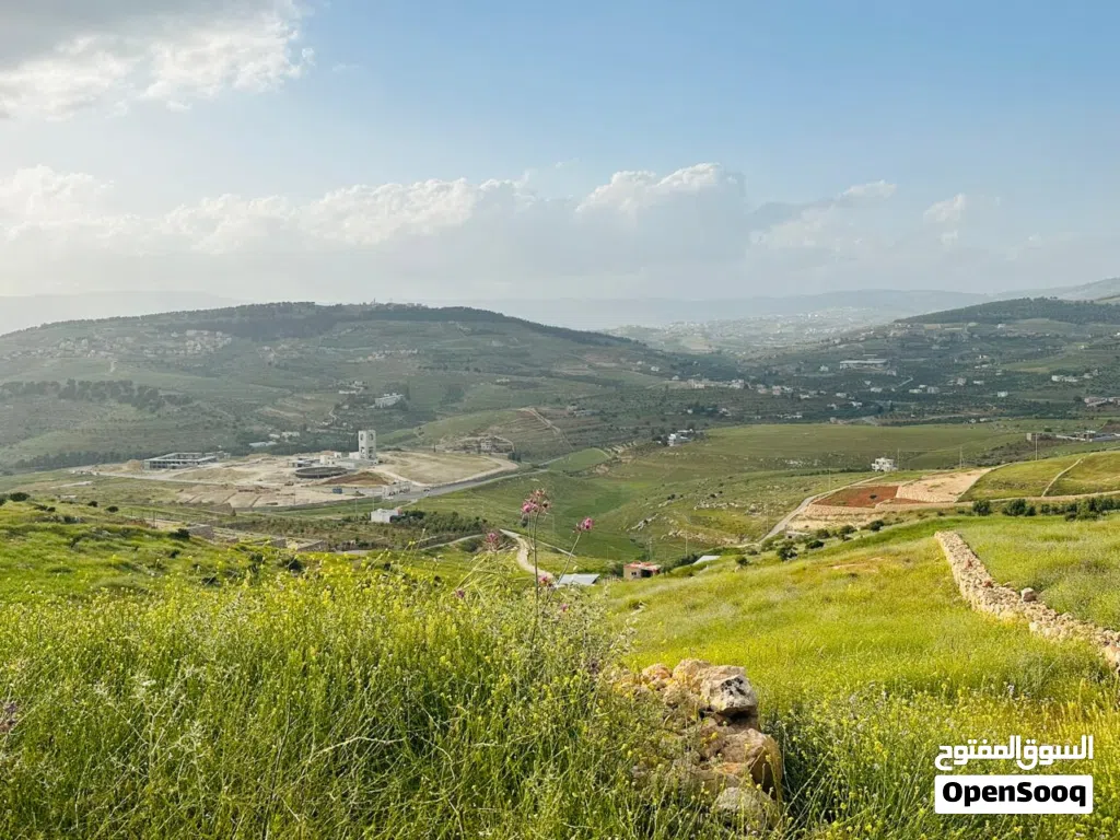 قطعه ارض للبيع في جرش عنيبه وسط احضان الطبيعه الساحره بجانب اسكان المهندسين