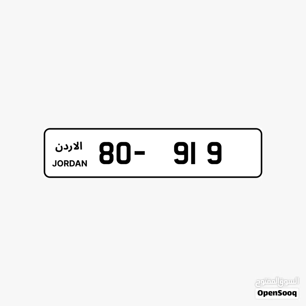 80 - 919 .