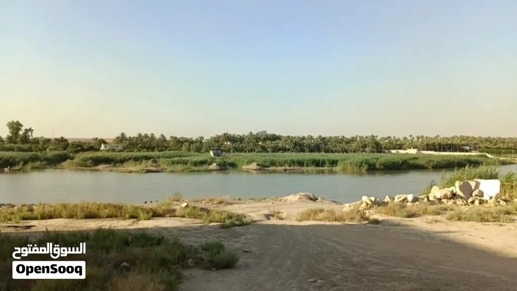 فرصة استثمارية في الدورة ـ البوعيثة قرب السدة بسعر مناسب جداً