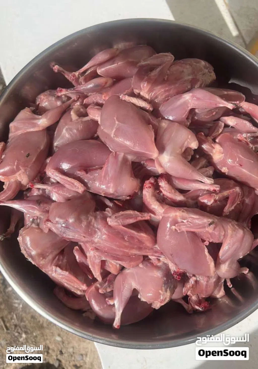 يتوفر لدينا طيور السمان