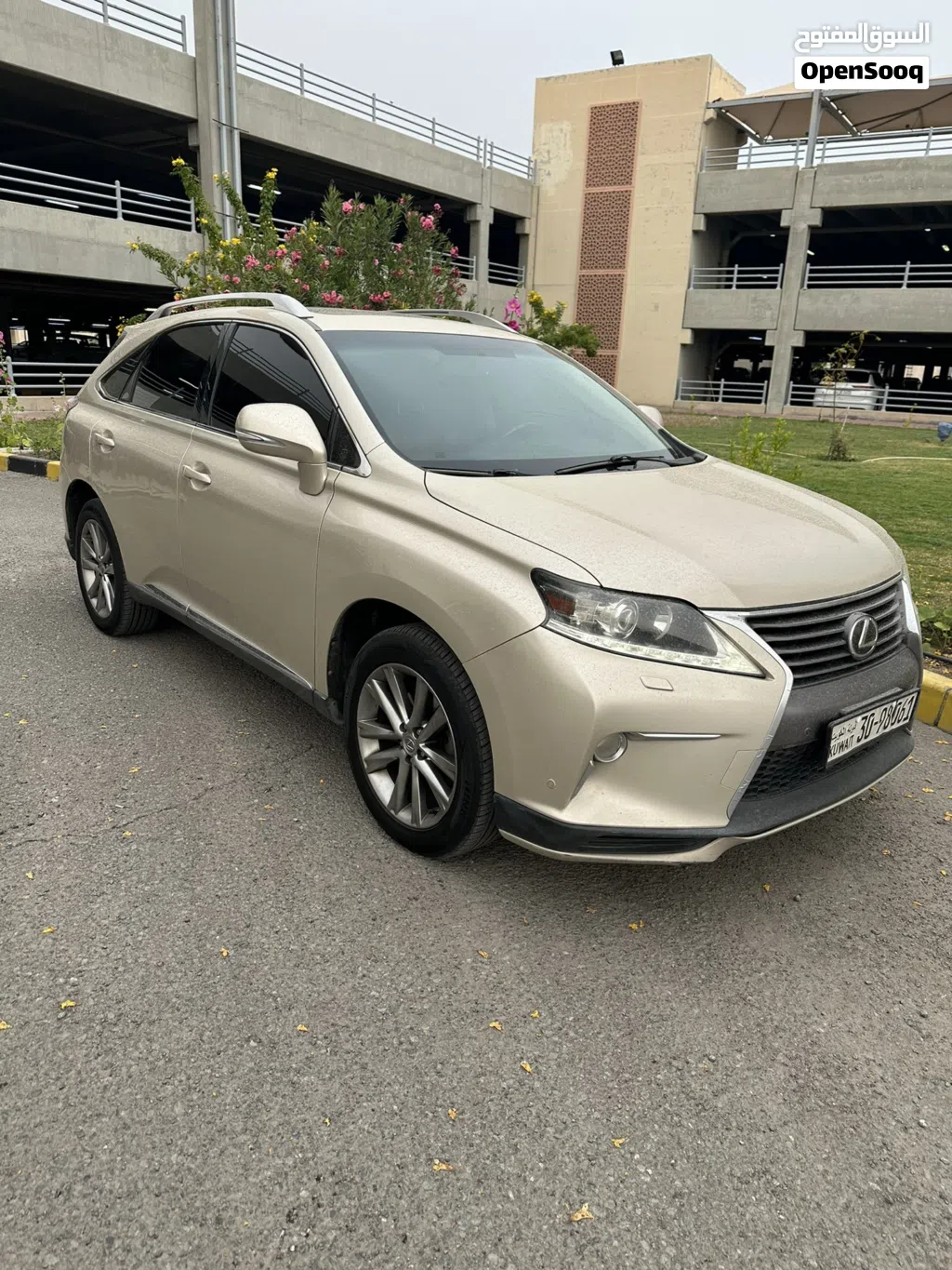 لكزس RX RX 350