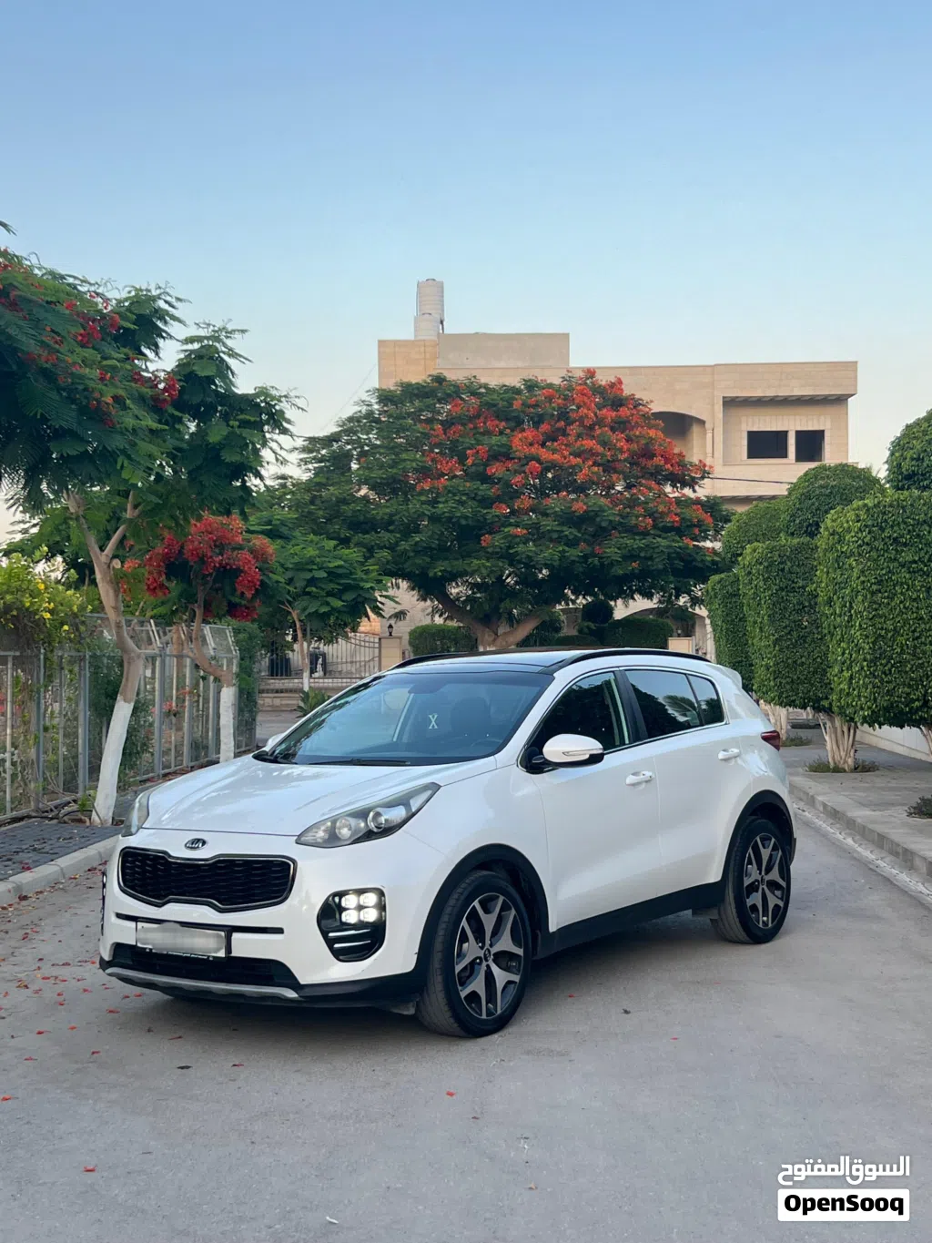 Kia Sportage Standard