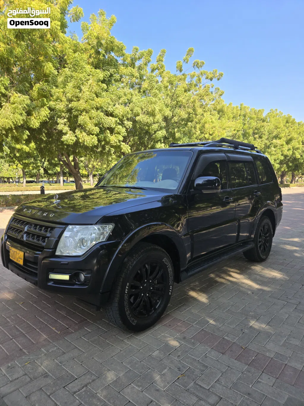 Mitsubishi Pajero GLS Top