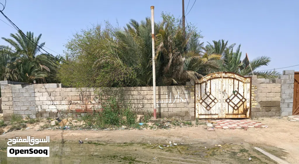 دار سكنية-فرصه استثمارية في الدير مساحة 300 متر واجهة 14 م نزال 22م منطقة هادئه زراعي