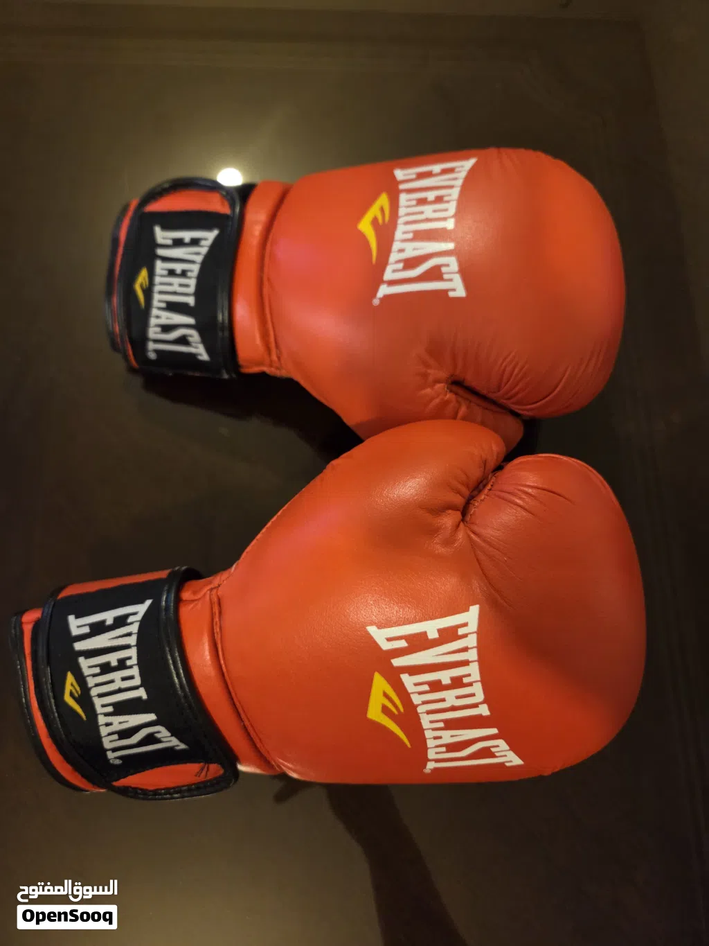Everlast 12oz Leather Boxing Gloves