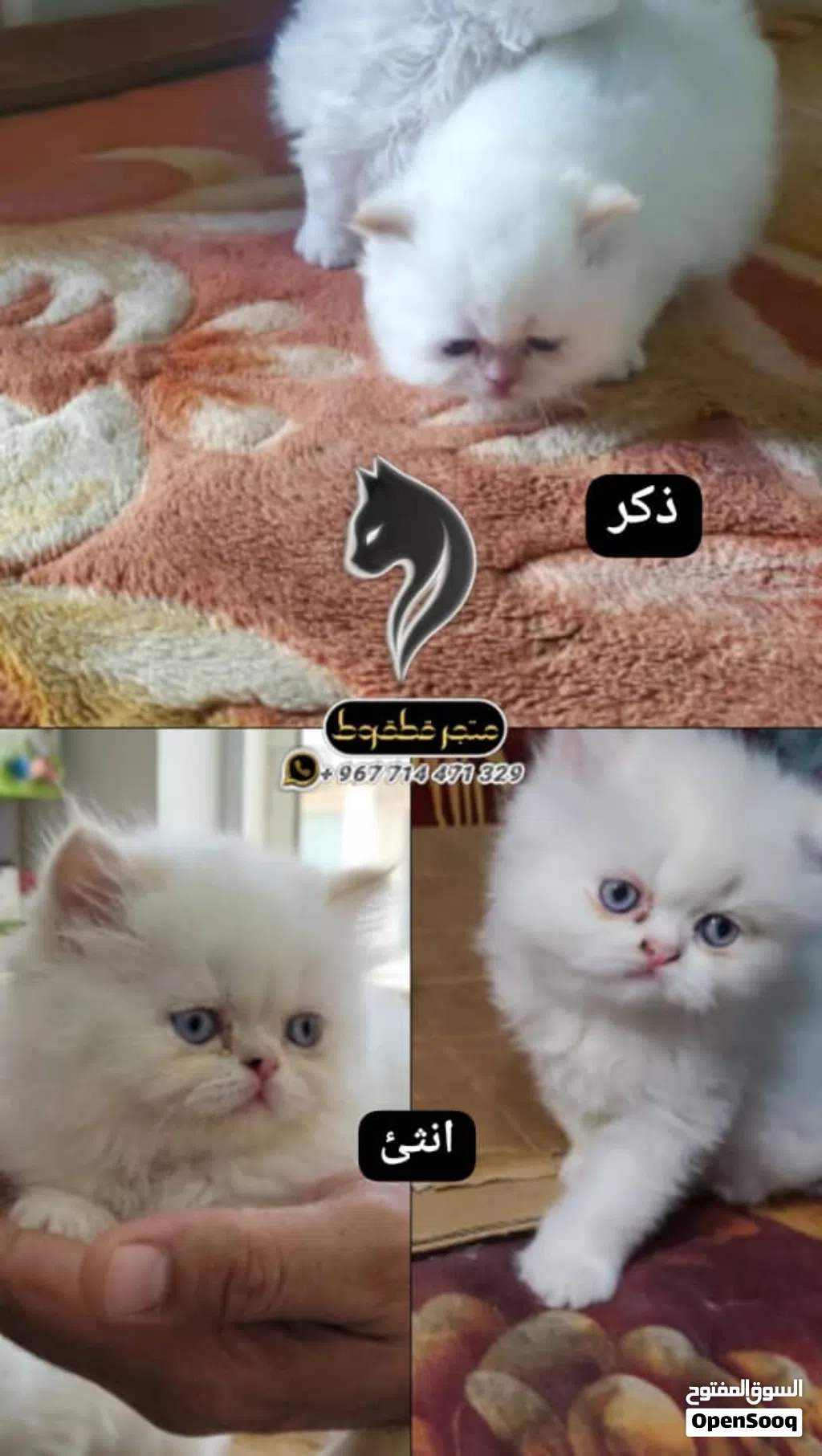 هملايا اورنج بوينت