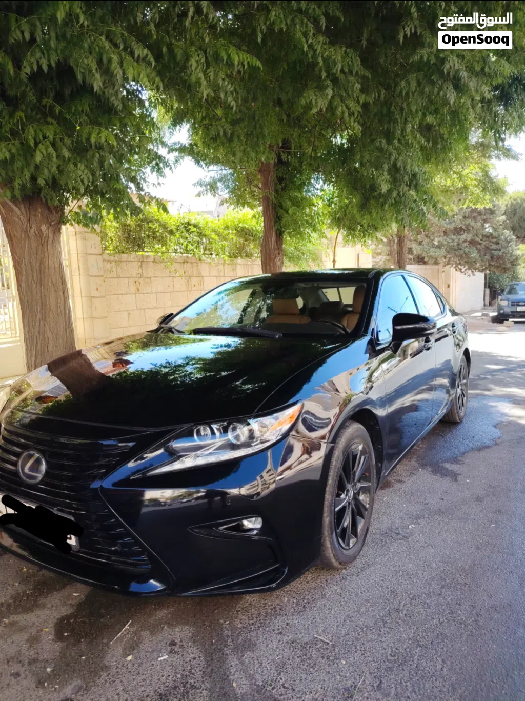 Lexus ES ES 300