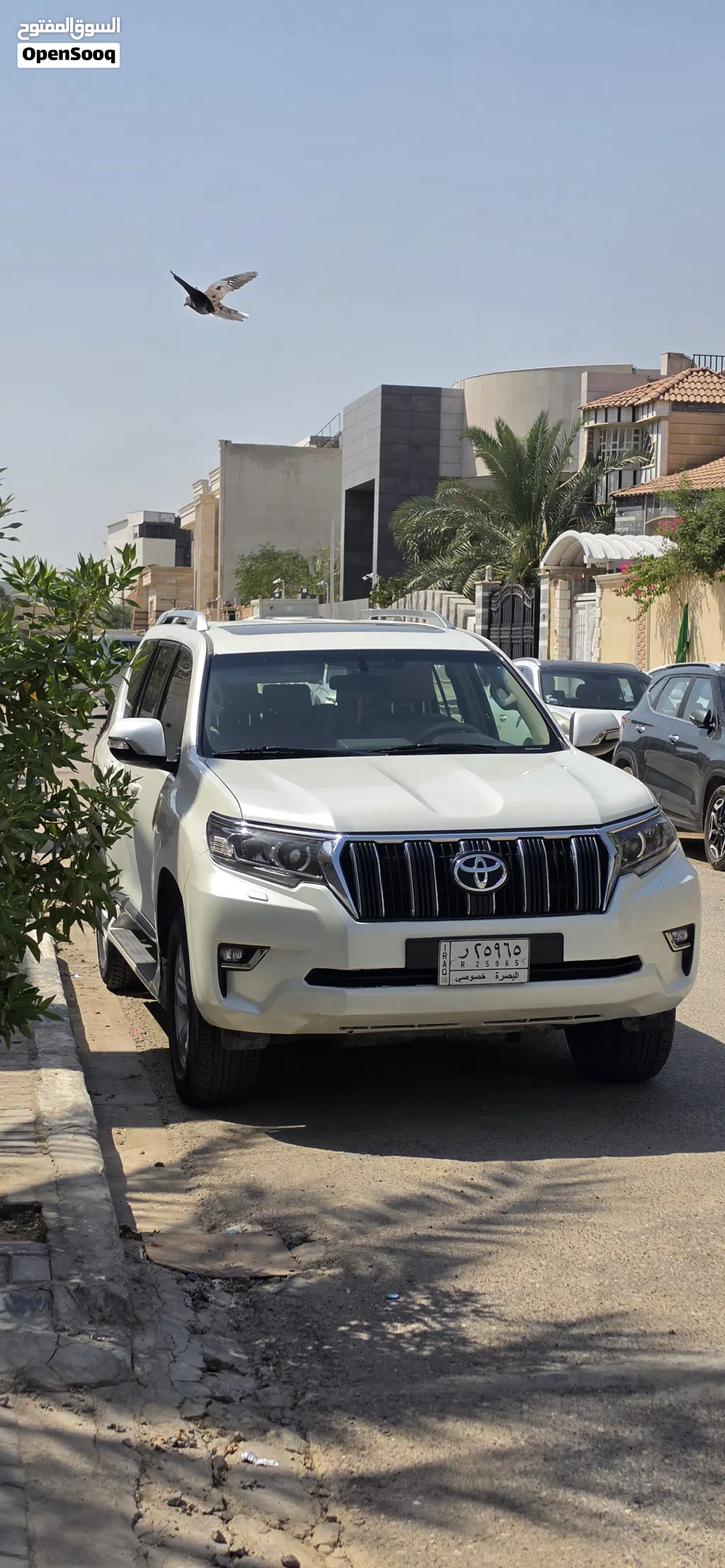تويوتا برادو TXL
