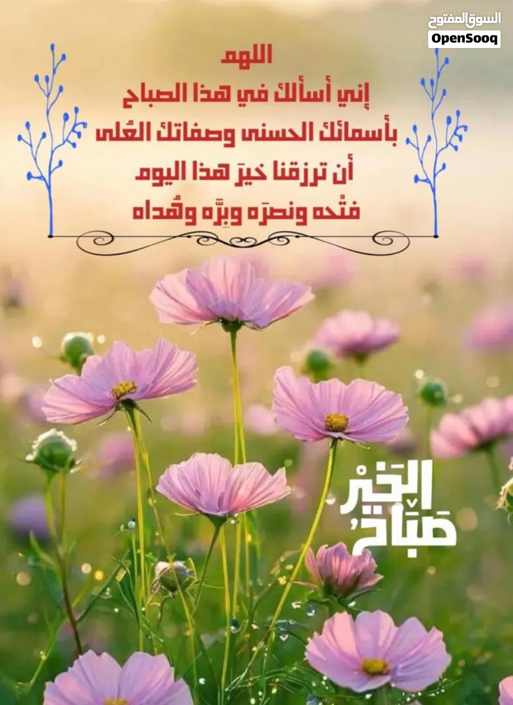 شقتين مفروشات للايجار حي الاندلس