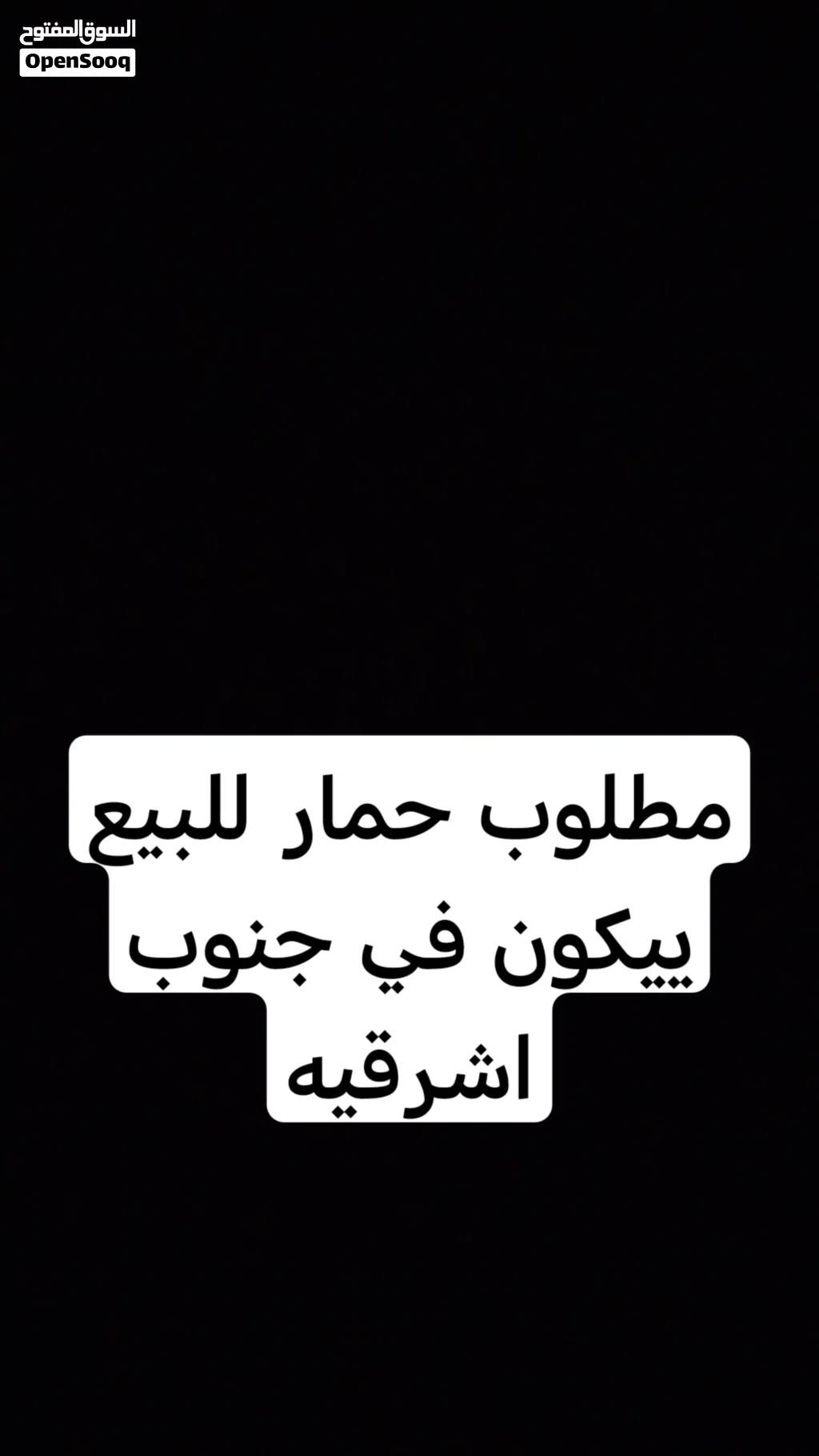 مطلوب حمار للبيع