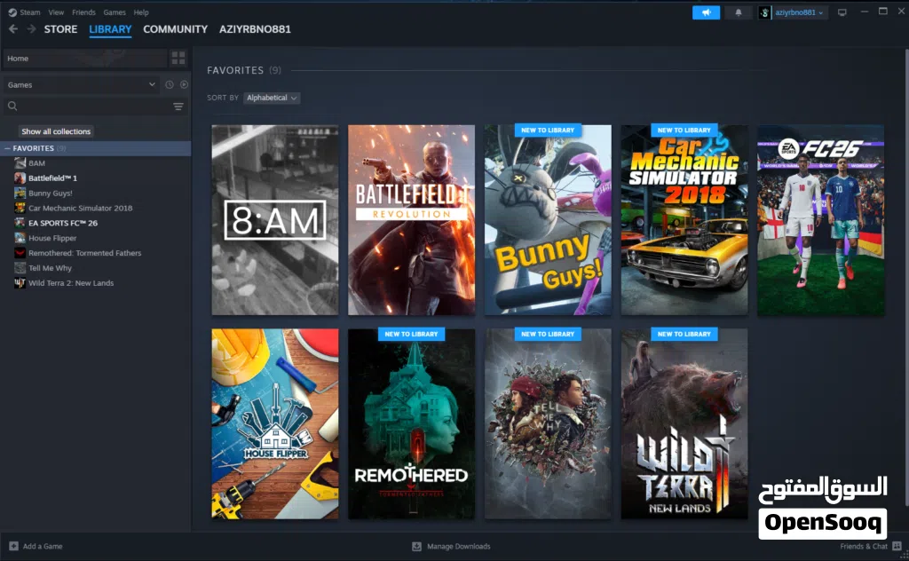 حساب Steam للبيع ألعاب أصلية FC 26 + Battlefield 1 والمزيد بسعر مميز