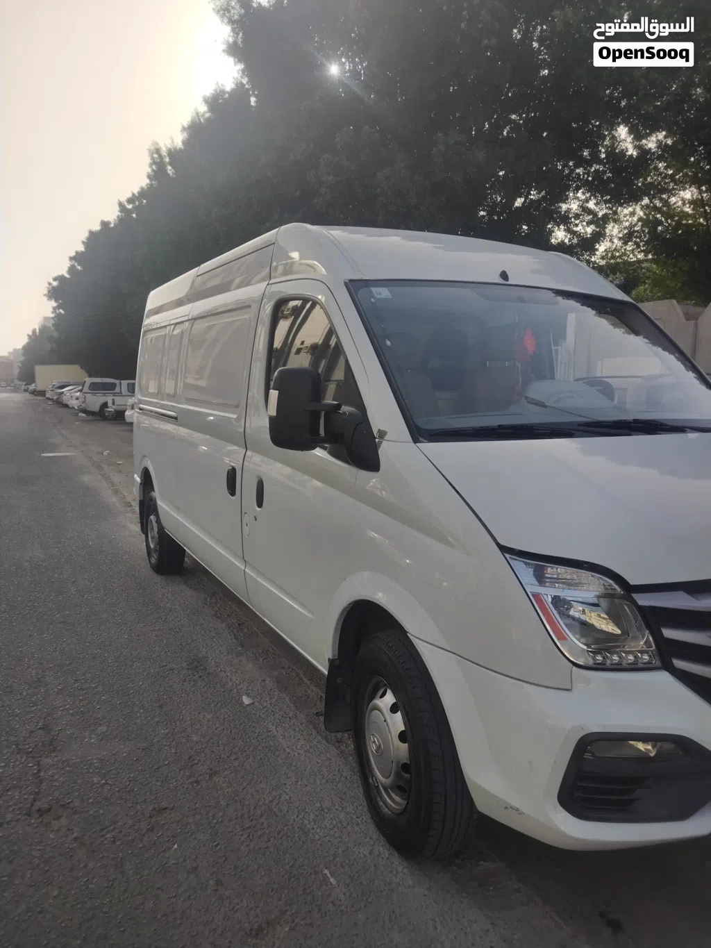 Maxus V80
