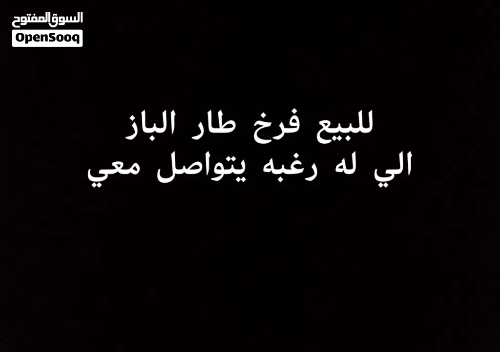 اقرأ الوصف
