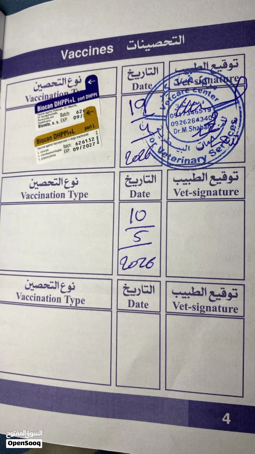كلبه مالينوا